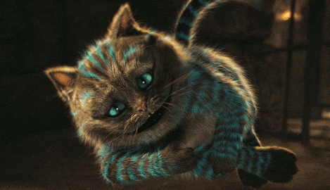 柴郡猫是什么品种？不清楚的快来看看！