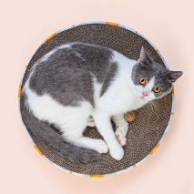 饲养宠物猫咪，猫抓板如何选择，猫咪才会喜欢？