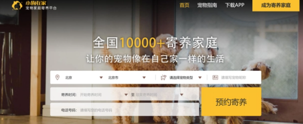 宠物寄养，到底是不是一门好生意？