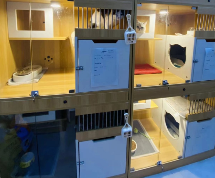 春节宠物寄养大热，商家赚到钱了吗？