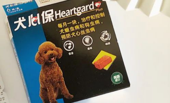 犬心保好不好,养狗党必须get的事 犬心保好不好,养狗党必须get的事