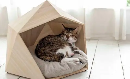 精选材质柔软有型才是好狗窝