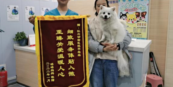 什么样的宠物医院才靠谱？这几个指标可以参考！