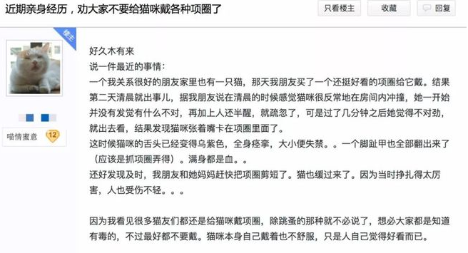 给猫咪狗狗脖子上佩戴项圈，到底是爱还是害？