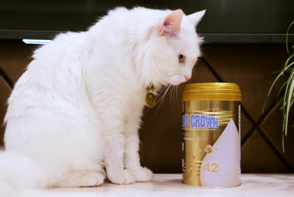 金冠助幼宠健康度过哺乳期 