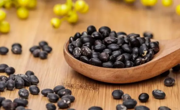 萌宠课堂：狗狗钙片和钙粉哪个比较好 狗狗吃钙片还是钙粉好？