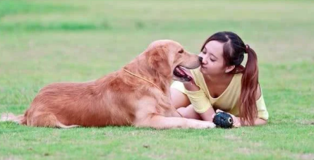 快来了解，狗狗怎样才能长寿？