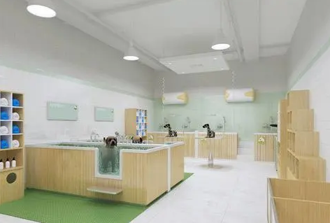 宠物店加盟什么最重要