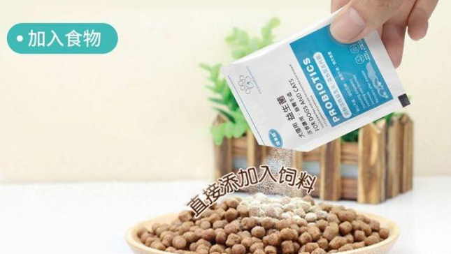 狗狗在什么情况吃益生菌呢?4大方面详解益生菌! 狗狗在什么情况吃益生菌呢?4大方面详解益生菌!