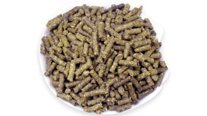 兔子不吃兔粮怎么办 教你如何处理 兔子不吃兔粮怎么办 教你如何处理