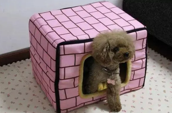 狗狗喜欢进狗窝睡觉吗？教你一个办法让它主动回去睡觉！