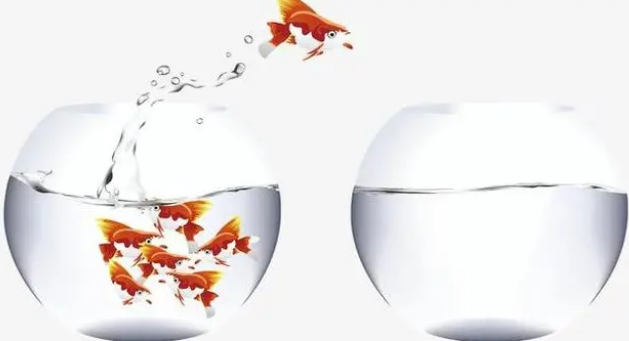 鱼缸水质太硬的处理妙招,来了解下吧 鱼缸水质太硬的处理妙招,来了解下吧