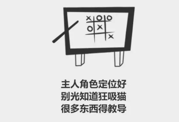 分分钟了解宠物知识——为什么猫会吃猫砂