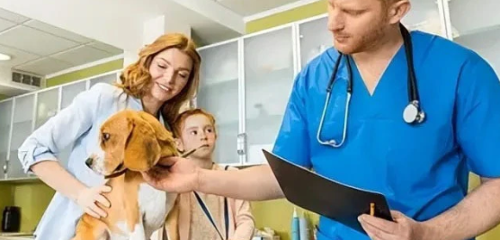 宠物医院怎么经营 宠物医院哪家好