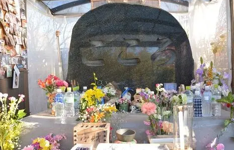 宠物殡葬到底怎么样？沈阳当地记者实地走访