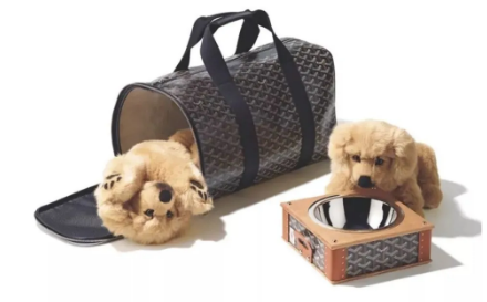 给宠物买衣服，你舍得花多少钱？