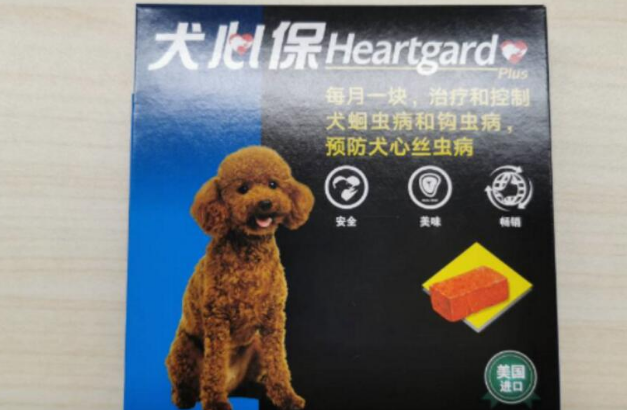 科学养宠少不了犬心保，养成科学养宠的好习惯