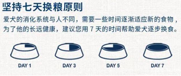 狗狗换粮小知识，七日换粮法了解一下