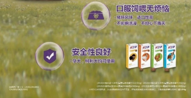 狗狗身上有蜱虫怎么去除？新一代“季驱型”贝卫多助力长效根除！