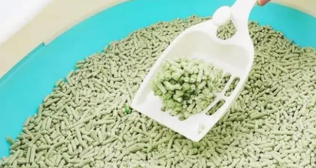 猫砂用膨润土的好，还是用豆腐猫砂好？