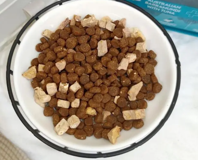 猫咪吐了没消化的猫粮？换粮期间要注意这些