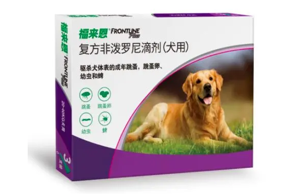 狗狗体外驱虫后多久能洗澡？缓一缓别着急