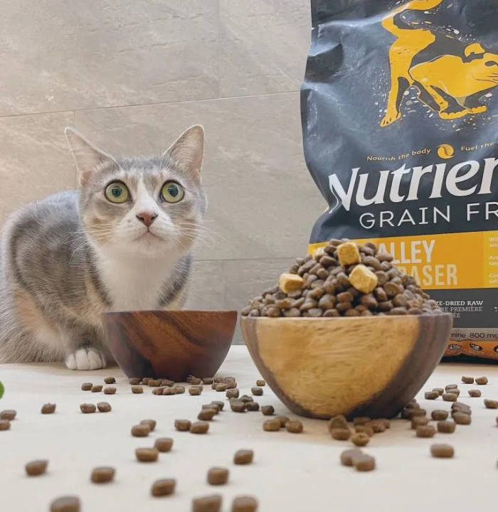 纽翠斯黑钻：冻干猫粮界的全能优等生