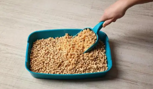 养猫必看！挑选猫砂这三点要注意咯，不然猫咪们上厕所困难