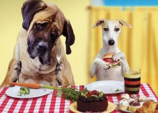 每日一问：狗吃多少葡萄干会致死