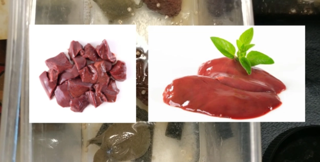 家养小甲鱼天天喂龟粮健康吗？