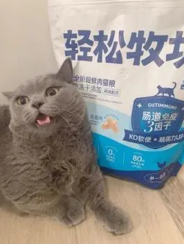 小壳轻松牧场，让你的猫咪轻松成长