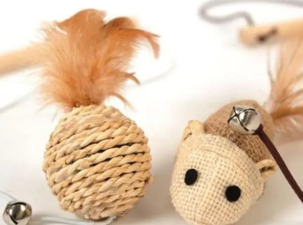 如何从容接手一只猫咪？有人寄养猫咪到你家，需要怎么做？