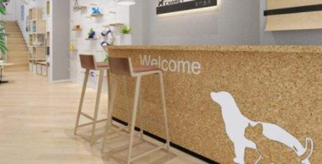 宠物生病的时候，我们该如何选择一家靠谱的宠物医院呢？