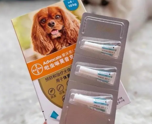 狗狗驱虫药用爱沃克，快速驱杀跳蚤蜱虫摆脱驱虫烦恼
