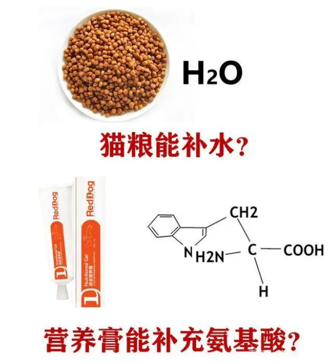 猫咪营养膏,看起来好神奇,真的有必要买吗? 猫咪营养膏,看起来好神奇,真的有必要买吗?