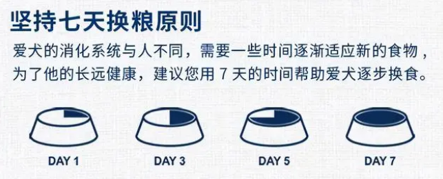 狗狗更换狗粮需要过渡期吗？来了解一下