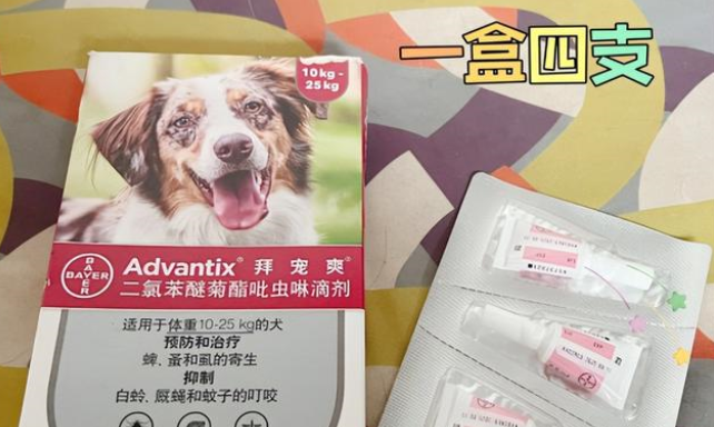 狗狗体外驱虫注意这几点，养狗的那些事