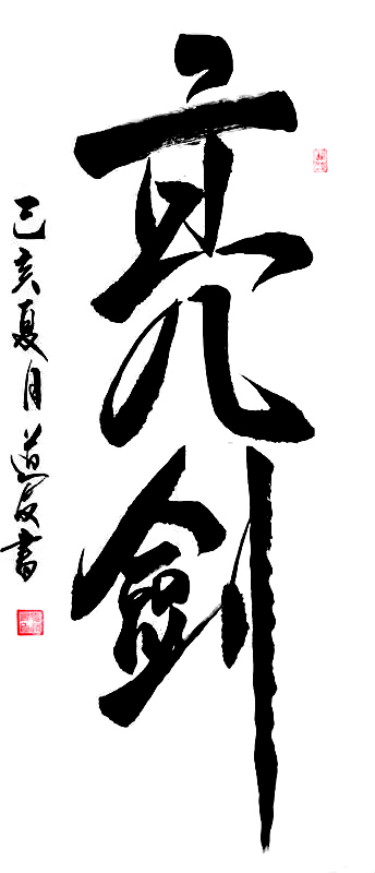 2769号 136x68cm,亮剑,2020年.jpg 2769号 136x68cm,亮剑,2020年.jpg