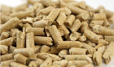 猫咪知识：猫会不会自己用猫砂，猫砂猫咪会用吗