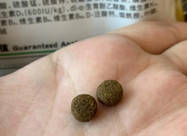 爆款狗粮欧力优，终于被我买到了，价比之王