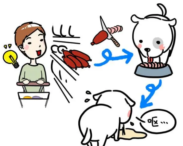 换粮不慎可能会让狗子腹泻！看完涨知识