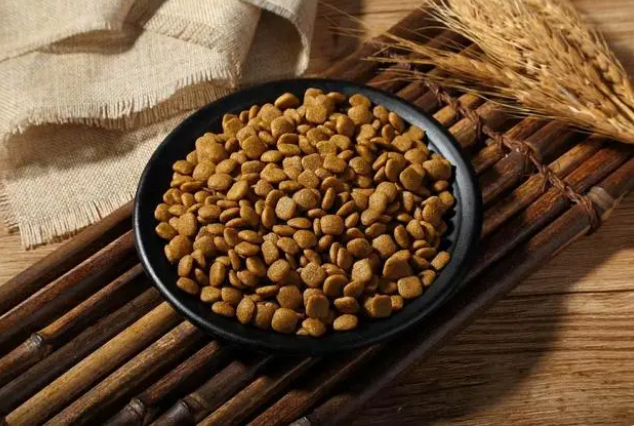 狗狗更换狗粮需要过渡期吗？来了解一下