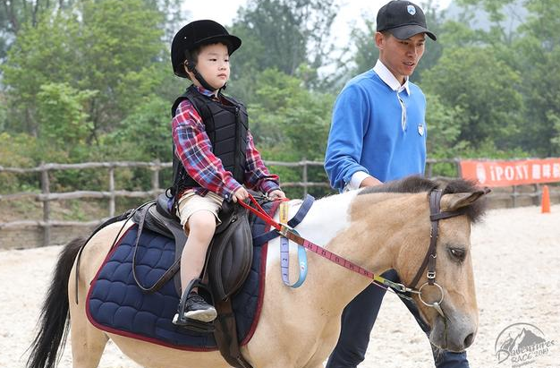 盖夫携Daventures Race山地嘉年华，户外运动会看狗狗肆意撒欢 