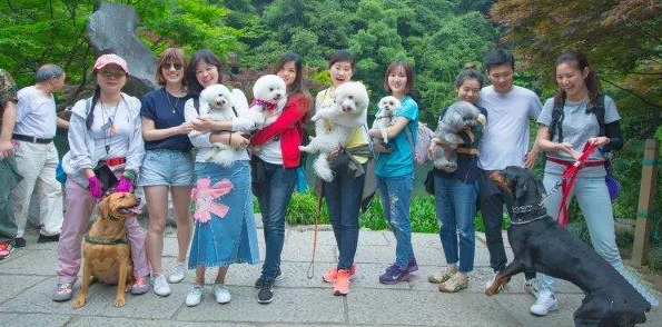 盖夫丨旅行带着狗，游山戏水，尽享美好生活