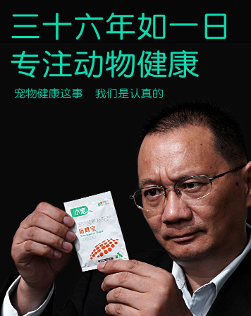 狗狗吃哪种益生菌好呢?狗狗益生菌都有这些作用 狗狗吃哪种益生菌好呢?狗狗益生菌都有这些作用