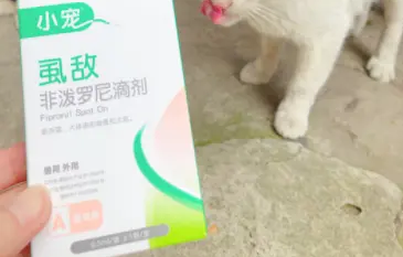 小宠虱敌驱虫体验，看中性价比铲屎官的首选
