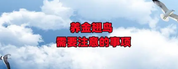 金翅鸟幼鸟喂什么饲料？养金翅鸟需要注意的事项