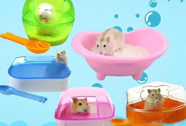 仓鼠洗澡要洗几分钟?仓鼠洗澡小知识盘点 仓鼠洗澡要洗几分钟?仓鼠洗澡小知识盘点