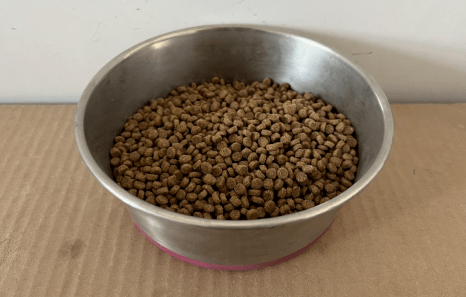 幼猫猫粮怎么选？快来看看nulo吧！