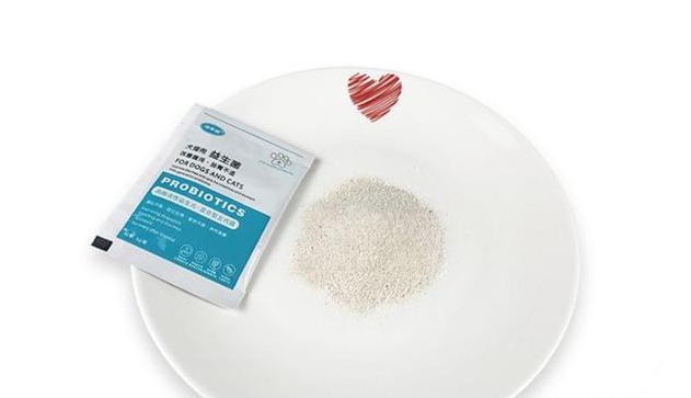 狗狗在什么情况吃益生菌呢?4大方面详解益生菌! 狗狗在什么情况吃益生菌呢?4大方面详解益生菌!